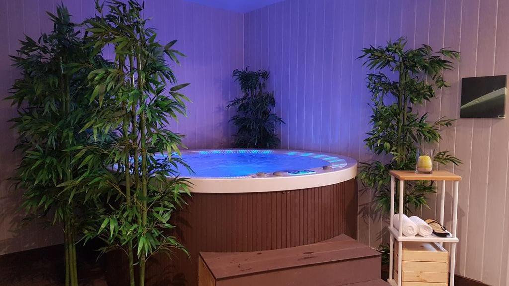 Le Manoir Domaine De La Motte Aparthotel Saint-Dye-sur-Loire Ngoại thất bức ảnh