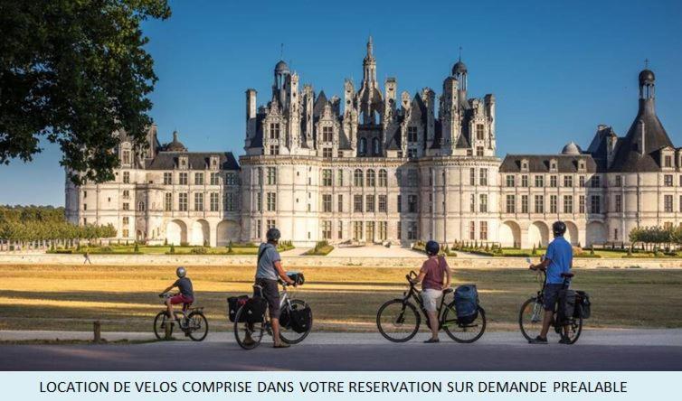 Le Manoir Domaine De La Motte Aparthotel Saint-Dye-sur-Loire Ngoại thất bức ảnh