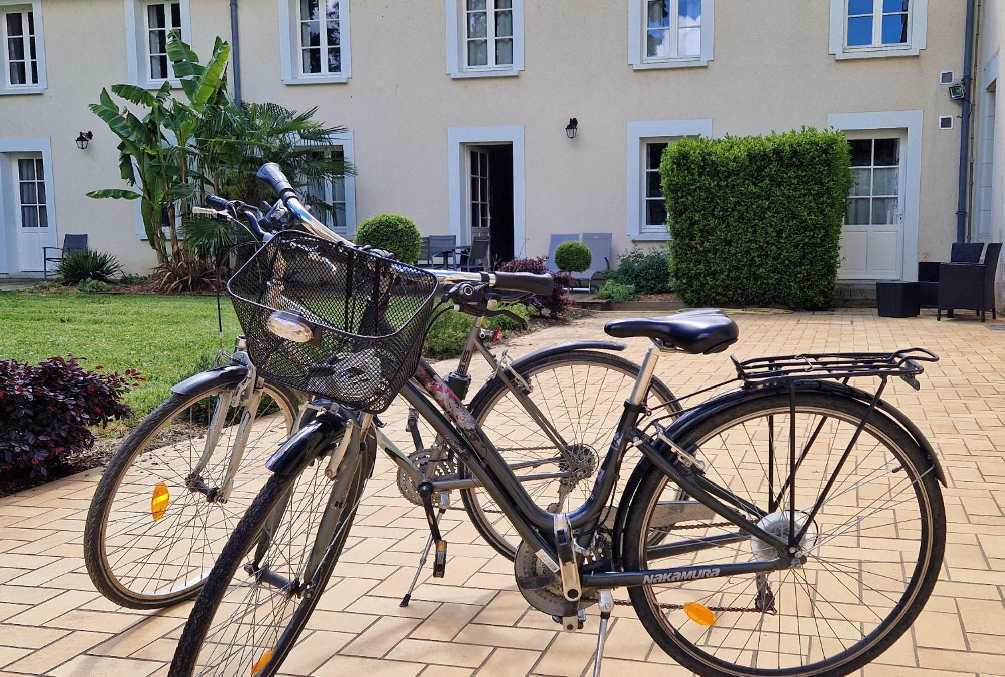 Le Manoir Domaine De La Motte Aparthotel Saint-Dye-sur-Loire Ngoại thất bức ảnh